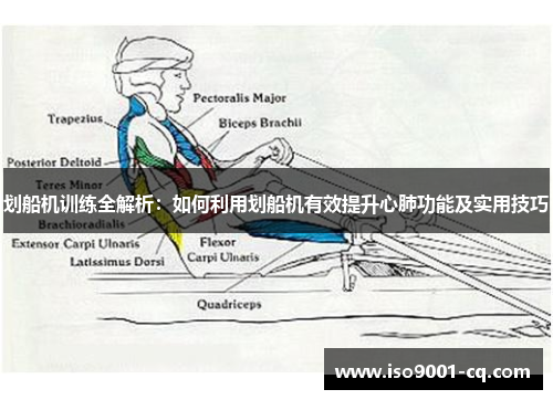 划船机训练全解析：如何利用划船机有效提升心肺功能及实用技巧