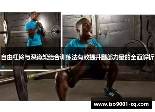 自由杠铃与深蹲架结合训练法有效提升腿部力量的全面解析