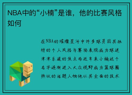 NBA中的“小楠”是谁，他的比赛风格如何